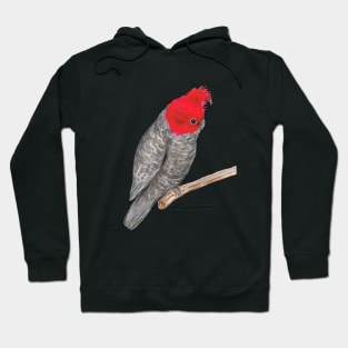 Gang gang cockatoo Hoodie